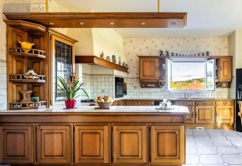 Propriete a vendre Jouhe 39100 Jura 39 350 m2 13 pièces 397000 euros J / LL 006
