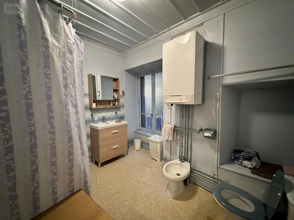 Immeuble de rapport a vendre Saint-Flour 15100 Cantal 15 134 m2 84800 euros 15046-12 008