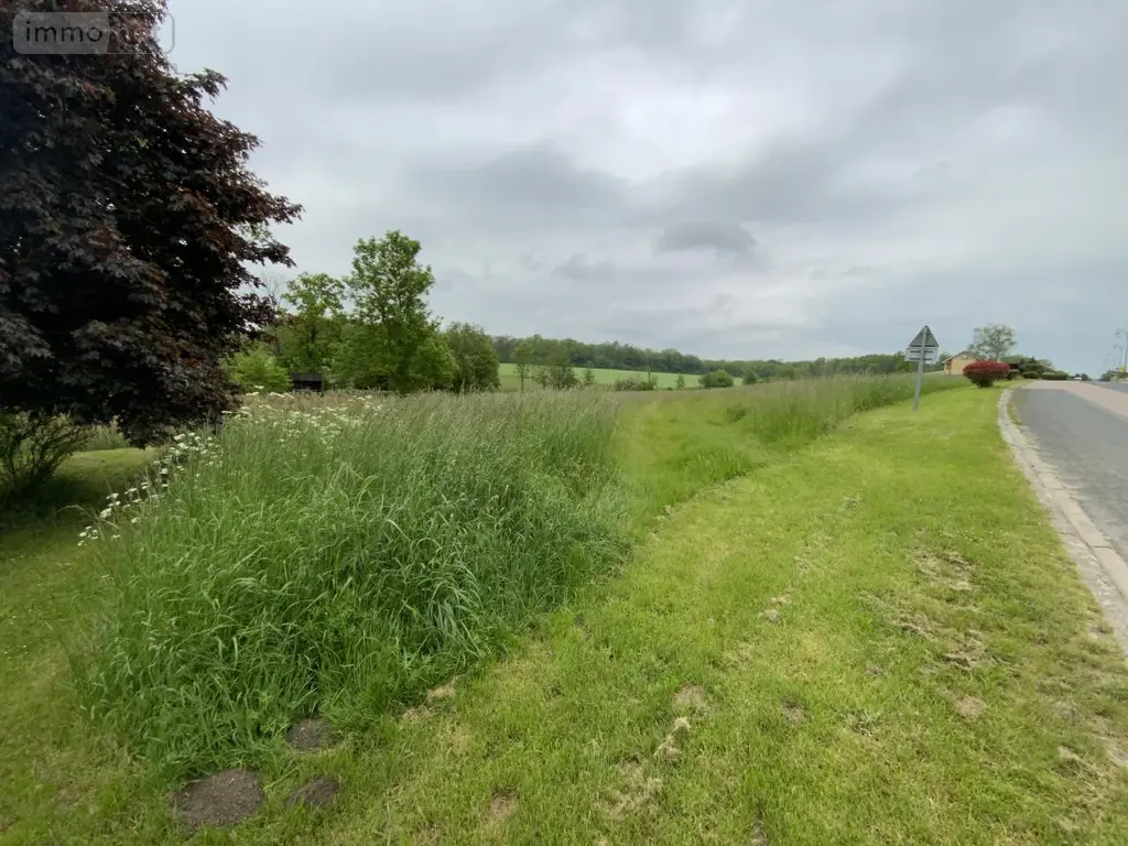 Terrain a batir a vendre Saint-Euphraise-et-Clairizet 51390 Marne 51 95000 euros 51066-1868 004