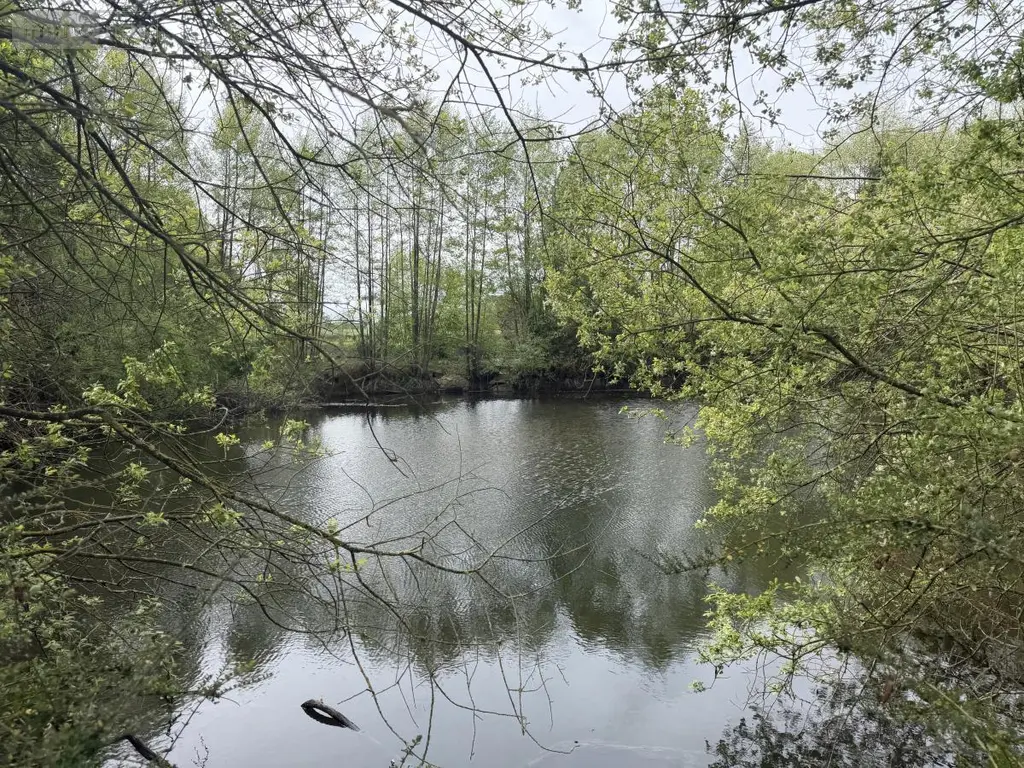 Terrains de loisirs bois etangs a vendre Saint-Martin-du-Bois 49500 Maine-et-Loire 49 48600 euros 49098-1425 003