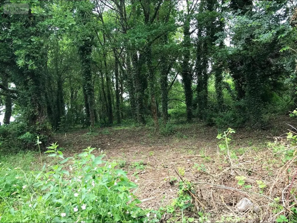 Terrain a batir a vendre Aubinges 18220 Cher 18 31500 euros 18006-199 001