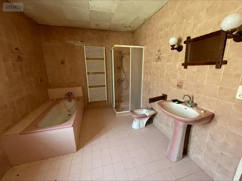 Maison a vendre Bâgé-Dommartin 01380 Ain 01 183 m2 5 pièces 95000 euros 01083-1899 010