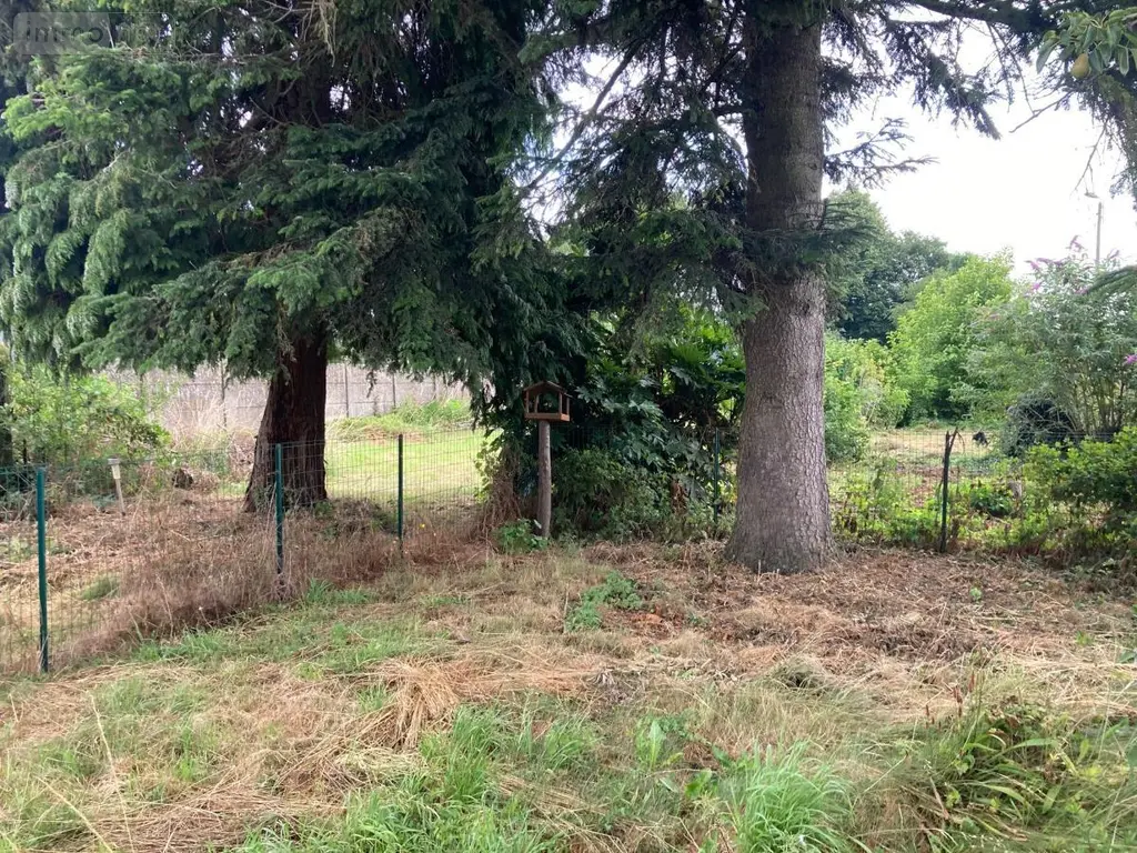 Maison a vendre Auchy-les-Mines 62138 Pas-de-Calais 62 69 m2 99900 euros 62029-1823 007