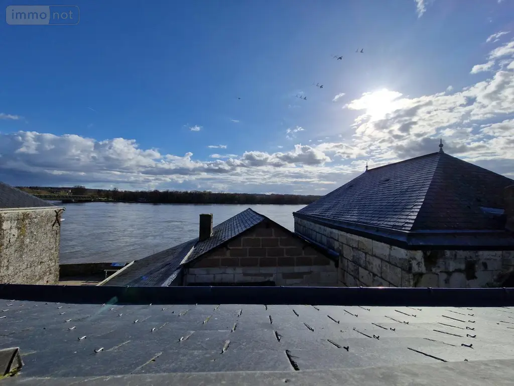 Immeuble de rapport a vendre Loire-Authion 49250 Maine-et-Loire 49 271 m2 438540 euros 49112-947 015