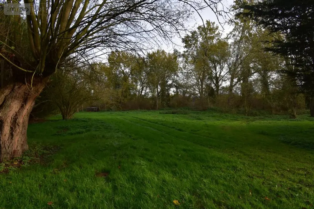 Terrains de loisirs bois etangs a vendre Cambrai 59400 Nord 59 780000 euros 59085-1457 004