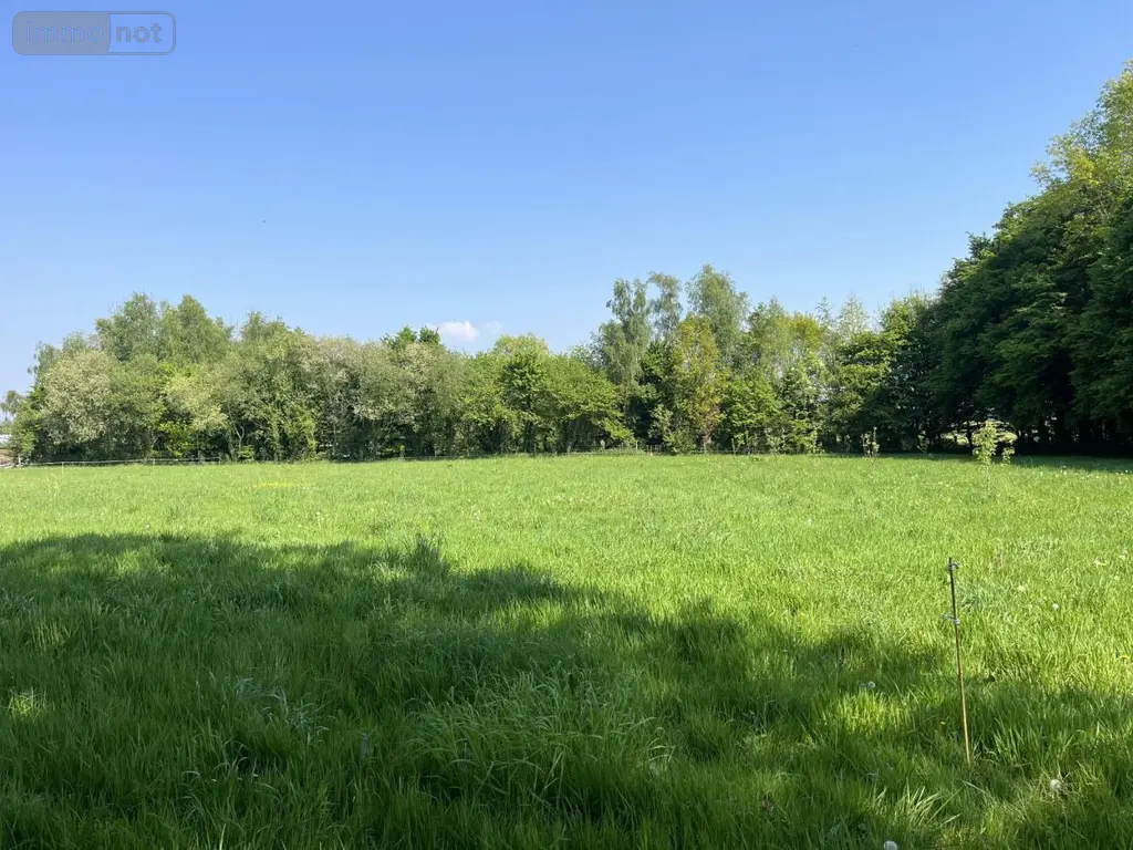 Terrain a batir a vendre Taupont 56800 Morbihan 56 112100 euros 56044-1498 002