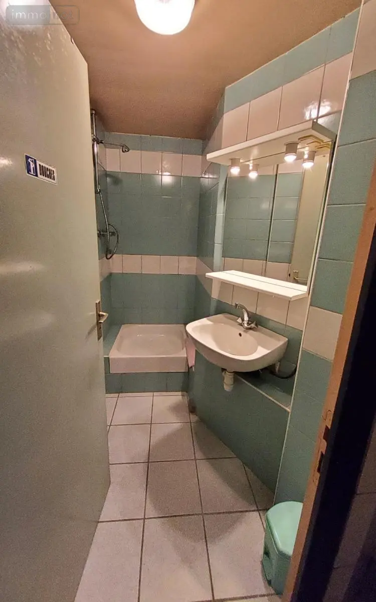 Immeuble de rapport a vendre Carnoët 22160 Côtes-d'Armor 22 330 m2 241500 euros 29066-3764 013