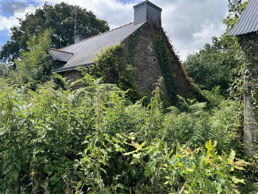 Maison a vendre Ruffiac 56140 Morbihan 56 100 m2 4 pièces 79200 euros 56044-1560 008