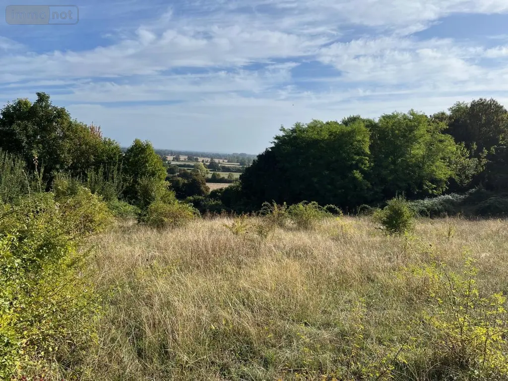 Terrains de loisirs bois etangs a vendre Ballon-Saint Mars 72290 Sarthe 72 10000 euros 72126-3247 001