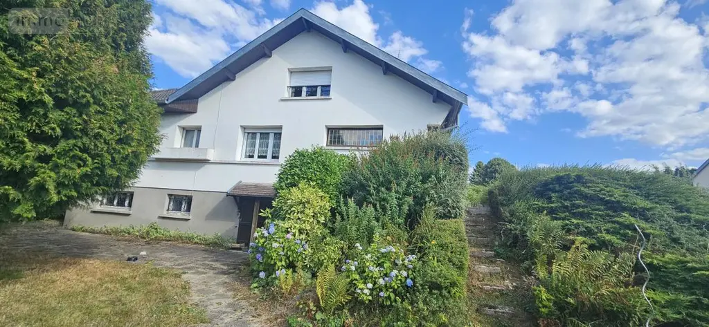 Maison a vendre Thiaville-sur-Meurthe 54120 Meurthe-et-Moselle 54 120 m2 210000 euros 88061-871 002