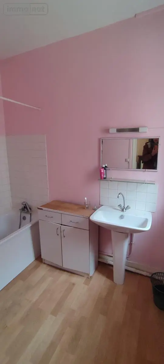 Immeuble de rapport a vendre Le Mans 72000 Sarthe 72 128 m2 227972 euros 72010-1946 004