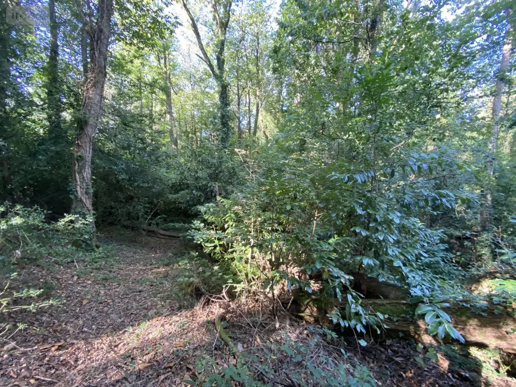 Maison a vendre Saint-Jean-Brévelay 56660 Morbihan 56 47 m2 2 pièces 59000 euros 56056-196 015