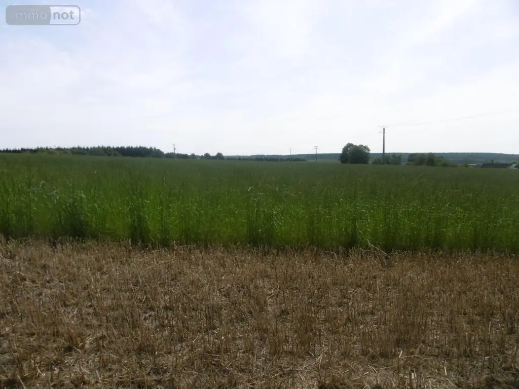 Terrains de loisirs bois etangs a vendre Montchauvet 14350 Calvados 14 341394 euros 14076-5428 011