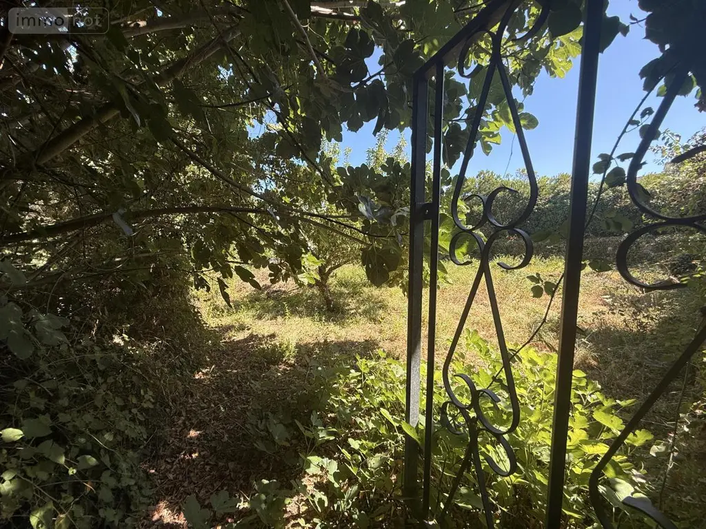 Terrain a batir a vendre Île-aux-Moines 56780 Morbihan 56 320000 euros 56089-137 001