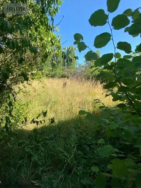 Maison a vendre La Verrière 78320 Yvelines 78 80 m2 250000 euros 92076-150 002