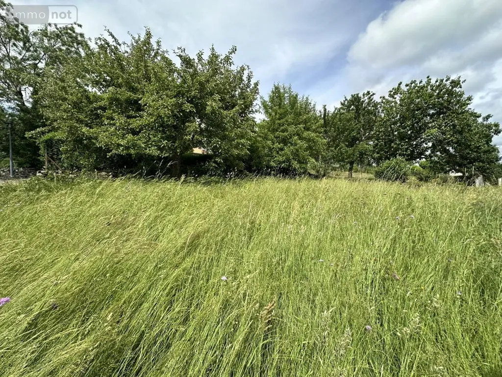 Viager maison Val d'Arcomie 15320 Cantal 15 146 m2 50000 euros 15046-81 022