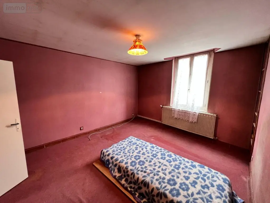 Maison a vendre Seigy 41110 Loir-et-Cher 41 94 m2 4 pièces 65000 euros 41033-1622 010
