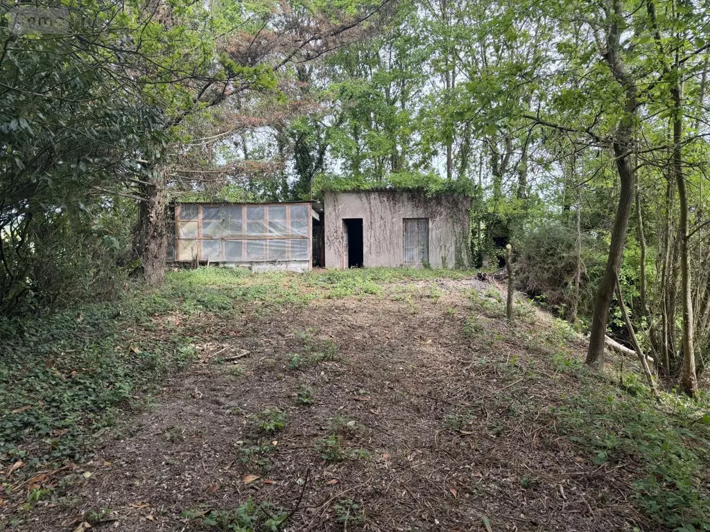 Terrains de loisirs bois etangs a vendre Saint-Martin-du-Bois 49500 Maine-et-Loire 49 48600 euros 49098-1425 002