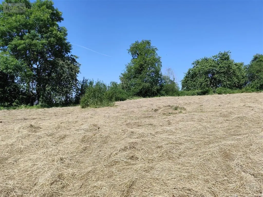 Terrain a batir a vendre Faissault 08270 Ardennes 08 32880 euros 2023 35 003