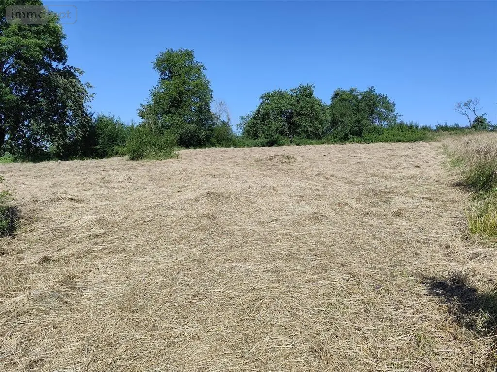 Terrain a batir a vendre Faissault 08270 Ardennes 08 32880 euros 2023 35 001