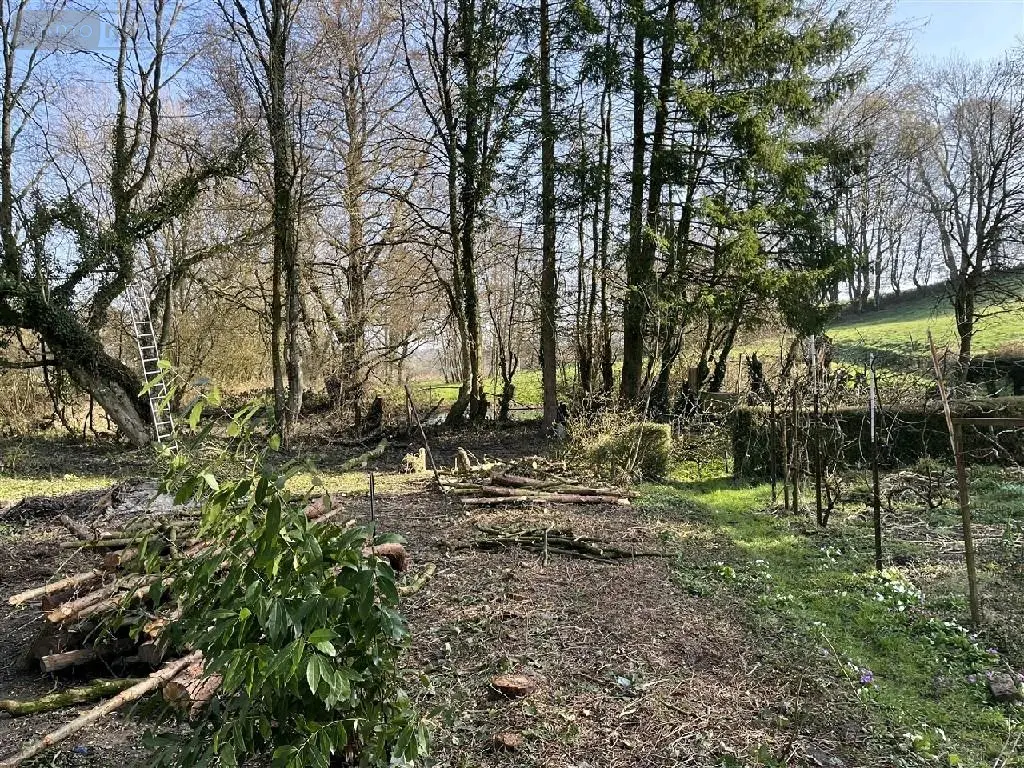 Maison a vendre Marlemont 08290 Ardennes 08 64 m2 4 pièces 54380 euros 2026 19 003