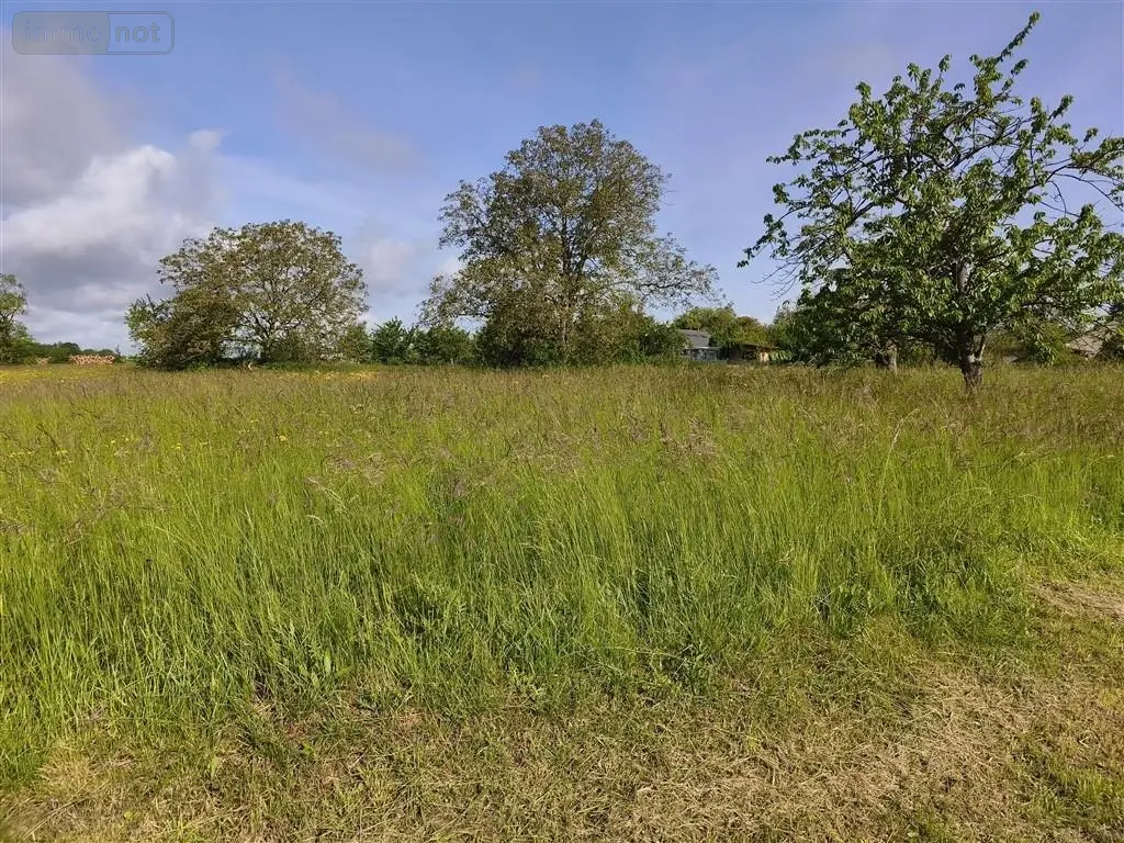 Terrain a batir a vendre Baâlons 08430 Ardennes 08 23675 euros 2026 33 003