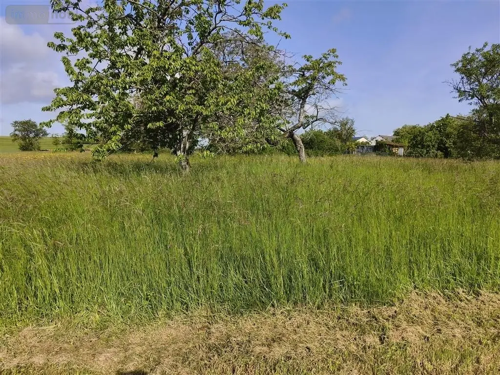 Terrain a batir a vendre Baâlons 08430 Ardennes 08 23675 euros 2026 33 004