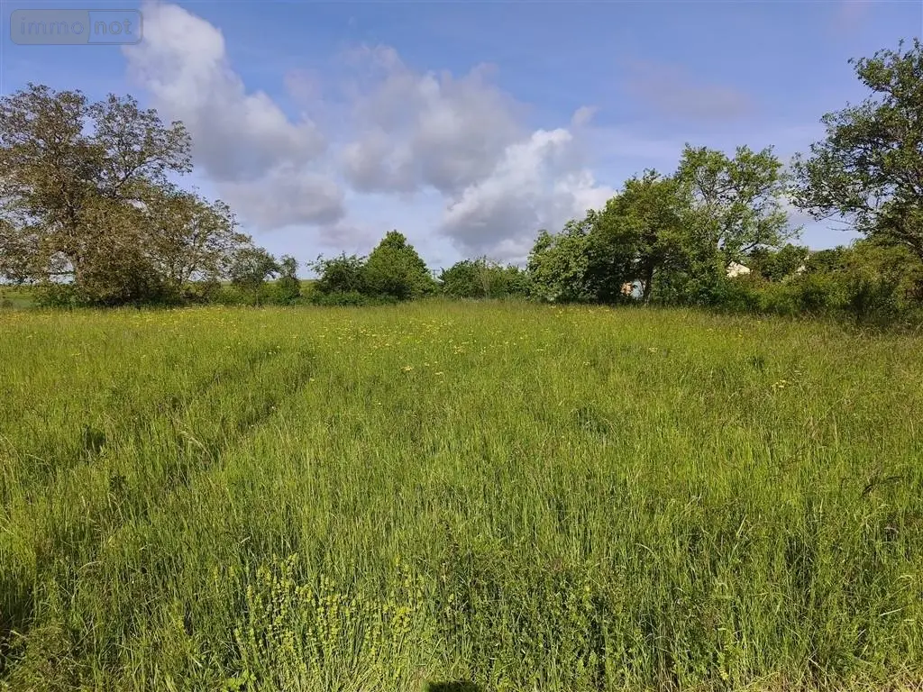 Terrain a batir a vendre Baâlons 08430 Ardennes 08 23675 euros 2026 33 006
