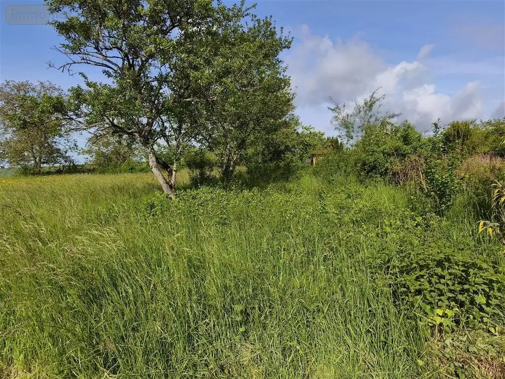 Terrain a batir a vendre Baâlons 08430 Ardennes 08 23675 euros 2026 33 007