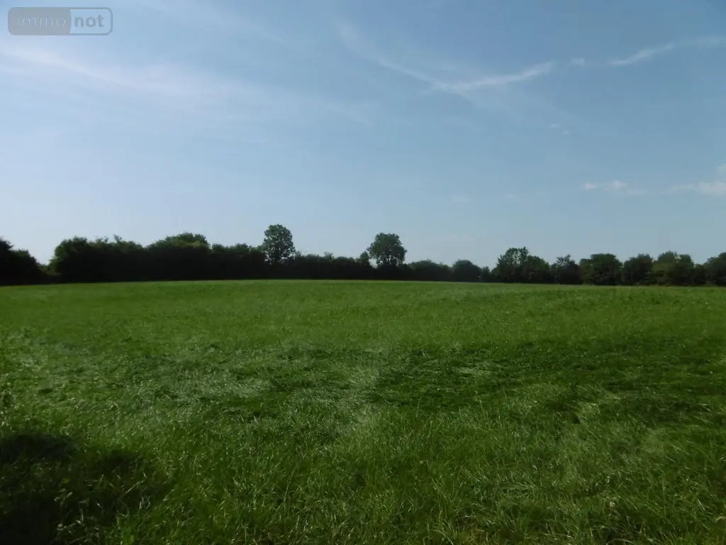Terrains de loisirs bois etangs a vendre Montchauvet 14350 Calvados 14 341394 euros 14076-5428 013
