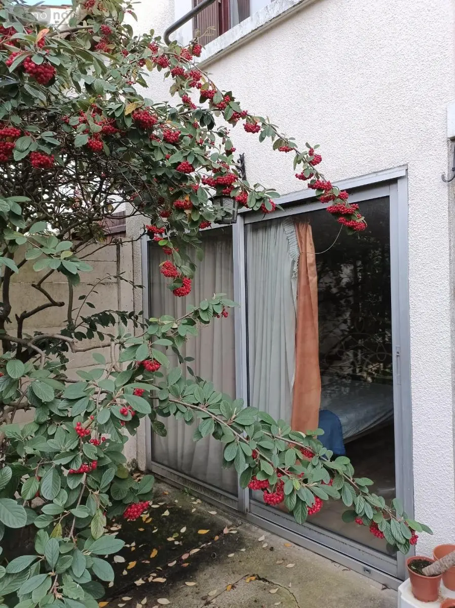 Maison a vendre Antony 92160 Hauts-de-Seine 92 108 m2 6 pièces 650000 euros 79066-117 020