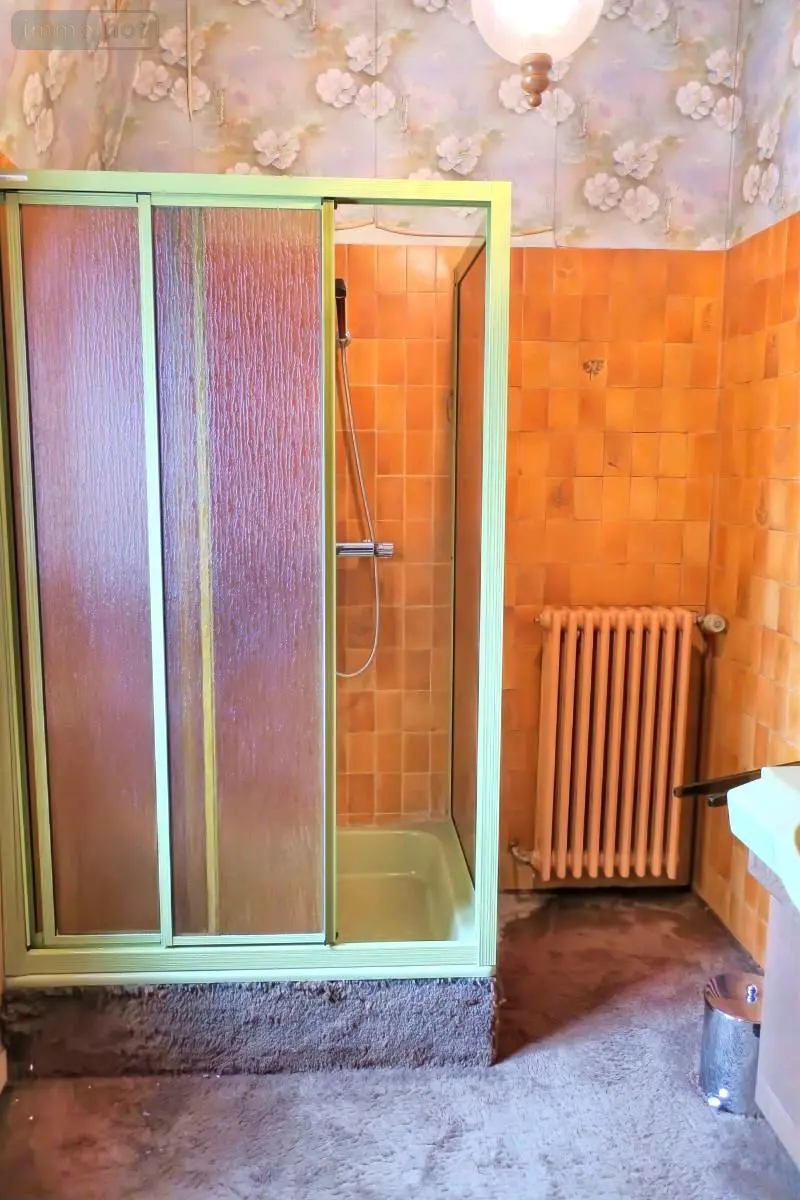 Maison a vendre Bourges 18000 Cher 18 326 m2 11 pièces 780000 euros 18005-1694 020