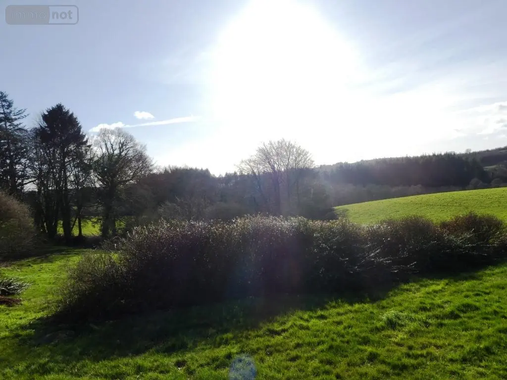 Maison a vendre Langoëlan 56160 Morbihan 56 280 m2 10 pièces 367000 euros 56075-2346 024