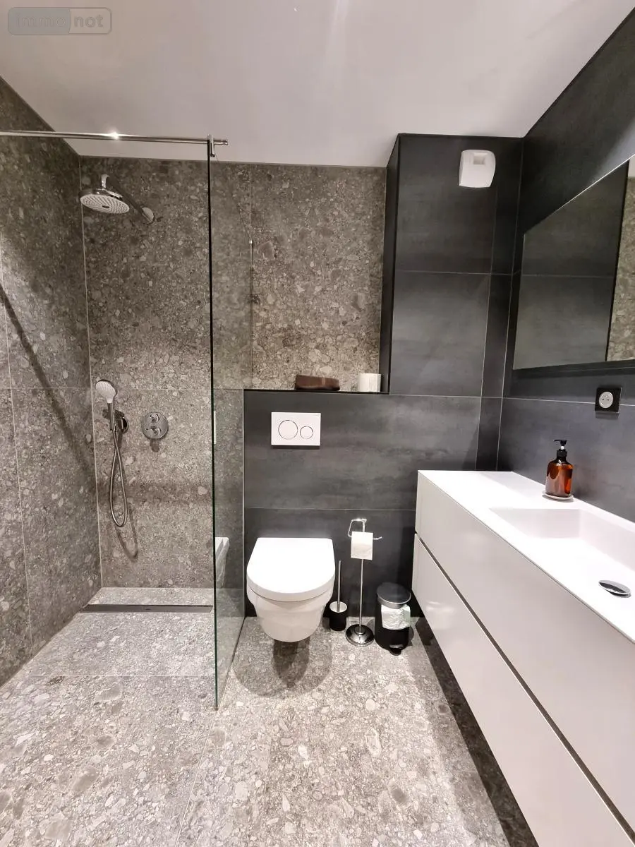 Appartement a vendre Châtel 74390 Haute-Savoie 74 110 m2 4 pièces 990000 euros 74042-659 007