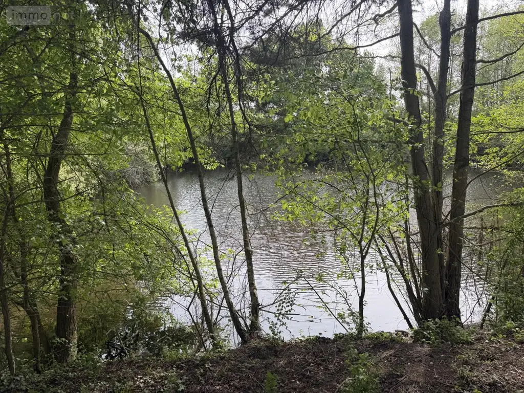 Terrains de loisirs bois etangs a vendre Saint-Martin-du-Bois 49500 Maine-et-Loire 49 48600 euros 49098-1425 001