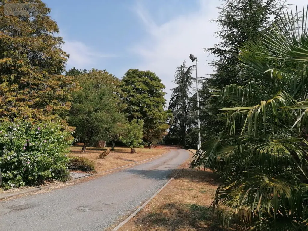 Maison a vendre Marcé-sur-Esves 37160 Indre-et-Loire 37 363 m2 11 pièces 525000 euros 37082-316 012