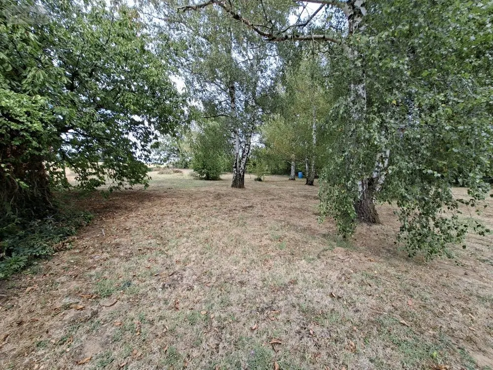 Terrain a batir a vendre Artannes-sur-Indre 37260 Indre-et-Loire 37 142400 euros 37125-58 002