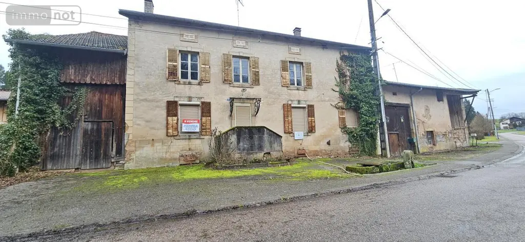 Maison a vendre Ménil-sur-Belvitte 88700 Vosges 88 114 m2 99000 euros 88061-822 001