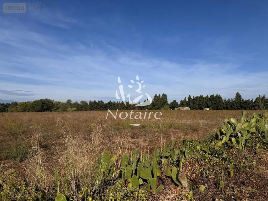 Terrains de loisirs bois etangs a vendre Elne 66200 Pyrénées-Orientales 66 197000 euros 66060-43 002