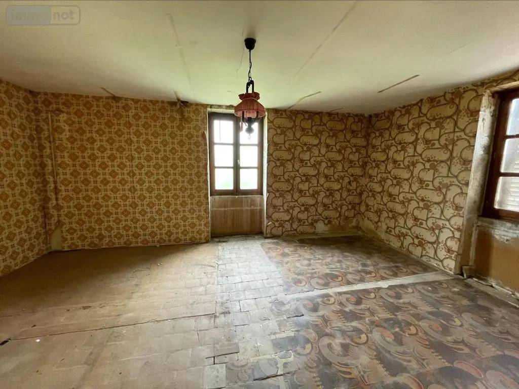 Maison a vendre Bâgé-Dommartin 01380 Ain 01 183 m2 5 pièces 95000 euros 01083-1899 014