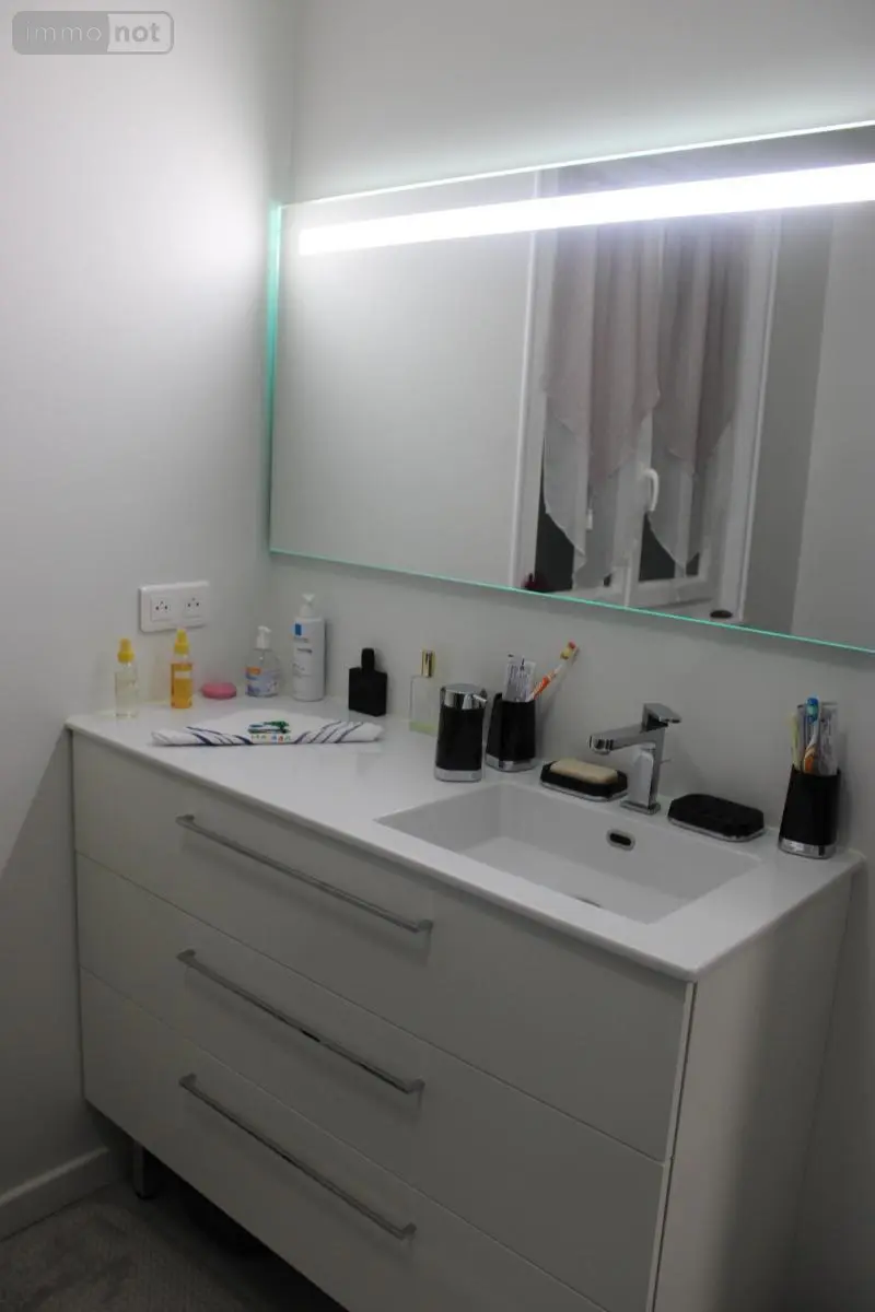 Viager maison Cusset 03300 Allier 03 135 m2 6 pièces 100440 euros 63022-12 016