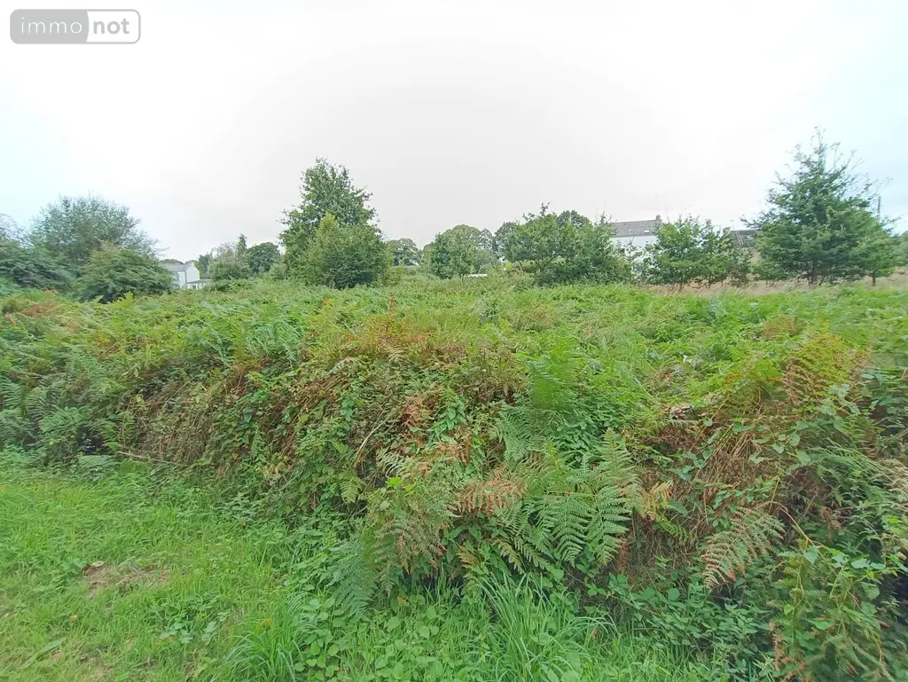 Terrains de loisirs bois etangs a vendre Cléguérec 56480 Morbihan 56 9700 euros 56062-1994 004