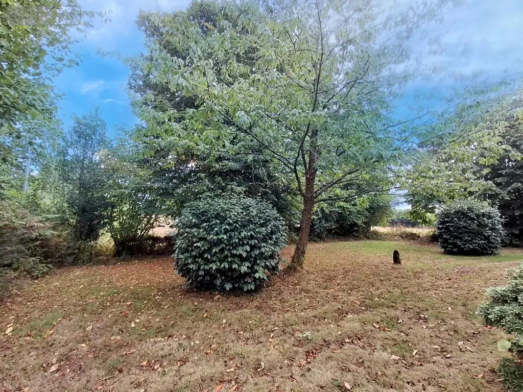 Maison a vendre Guern 56310 Morbihan 56 97 m2 5 pièces 100800 euros 56062-2347 003