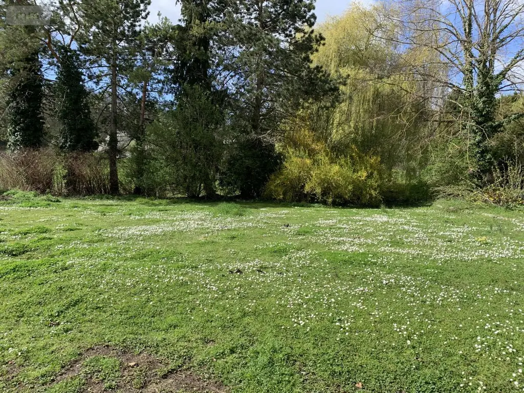 Maison a vendre Vandeuil 51140 Marne 51 250 m2 6 pièces 540000 euros 51082-2444 004