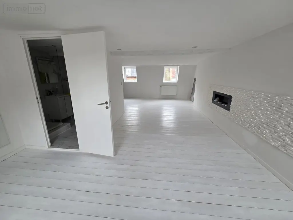 Immeuble de rapport a vendre Lille 59800 Nord 59 234 m2 931000 euros 59032-3742 008