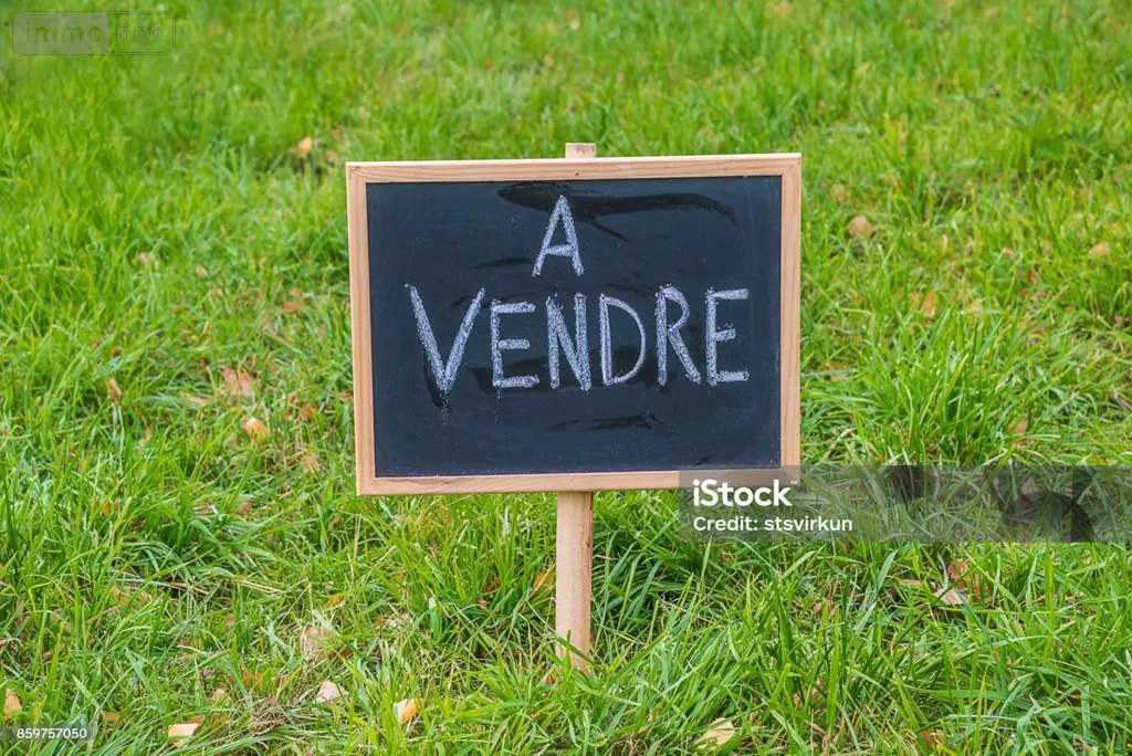 Terrain a batir a vendre Quistinic 56310 Morbihan 56 66708 euros 56064-1493 001