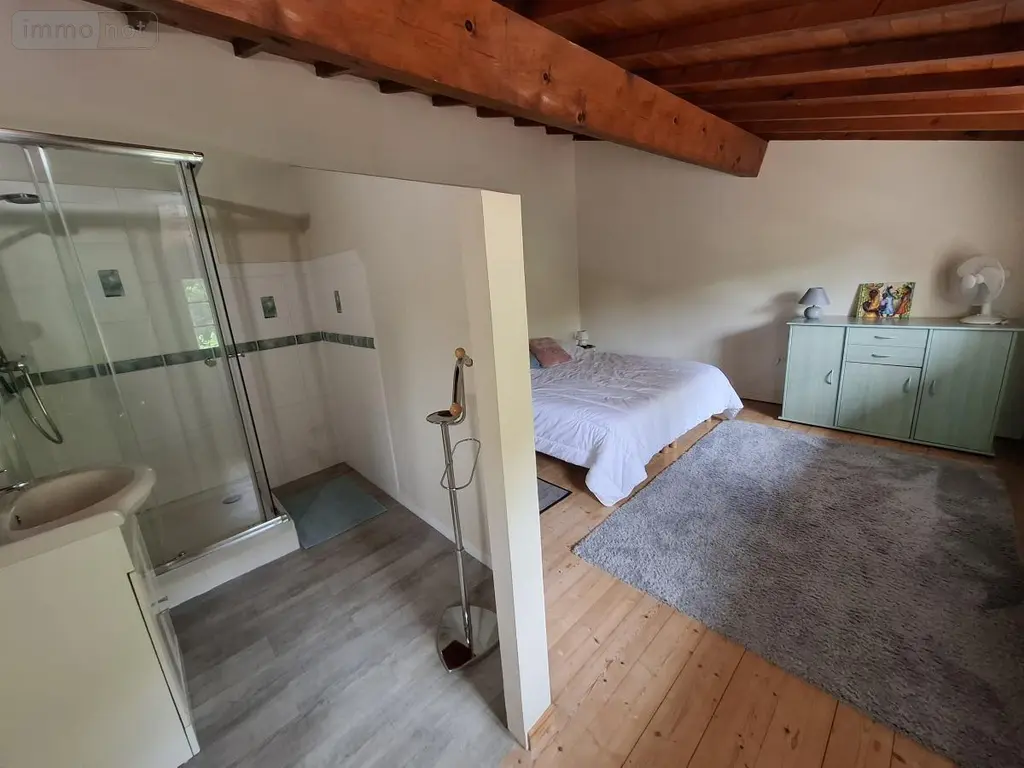 Maison a vendre Saintes 17100 Charente-Maritime 17 405 m2 11 pièces 475000 euros 17111-738 034