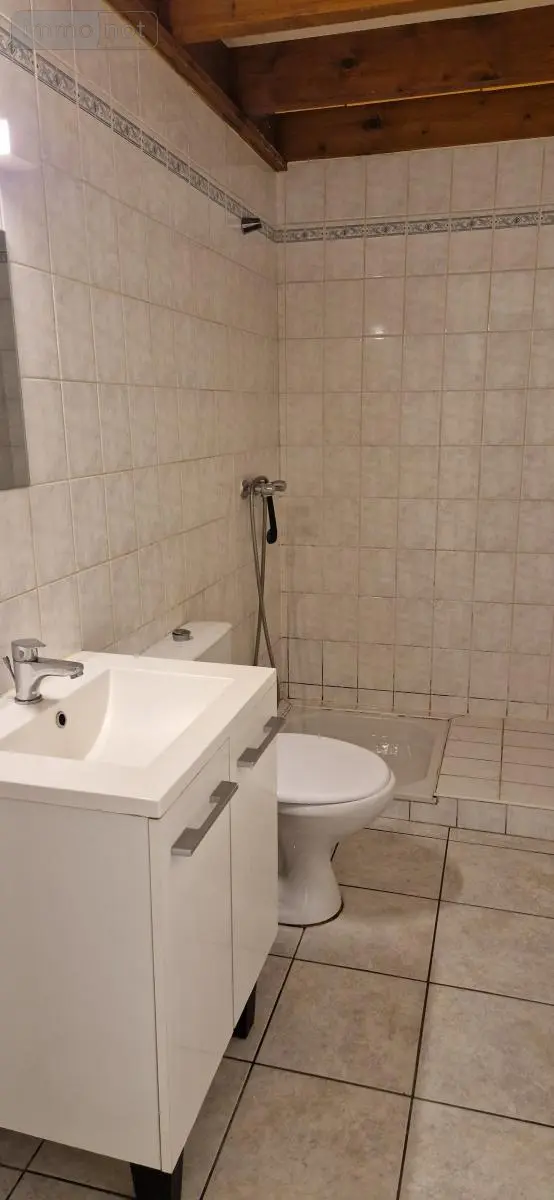 Immeuble de rapport a vendre Loudéac 22600 Côtes-d'Armor 22 122 m2 269764 euros 56062-2171 004