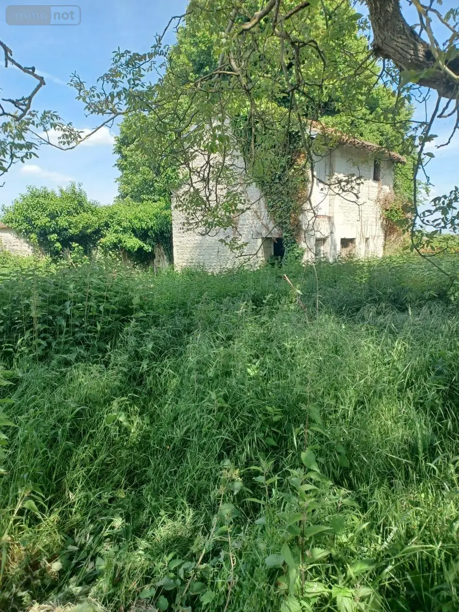 Maison a vendre Braslou 37120 Indre-et-Loire 37 110 m2 7 pièces 158000 euros 37125-51 005