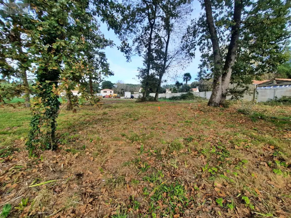 Terrain a batir a vendre Saint-Hilaire-de-Riez 85270 Vendée 85 172330 euros 85091-5159 003